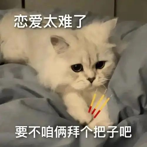 给女朋友发的表情包