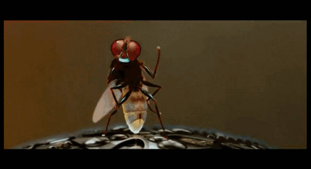 640_348gif 动态图 动图