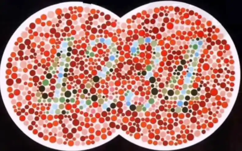 色盲测试你能看到什么数字呢如果你只看到1324就危险了