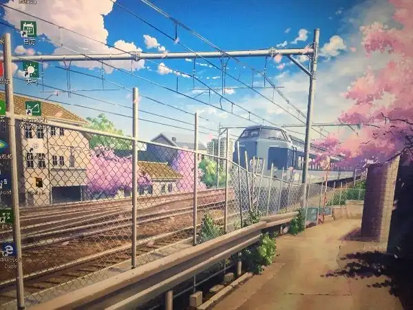 火车正准备拐弯,旁边有一棵樱花