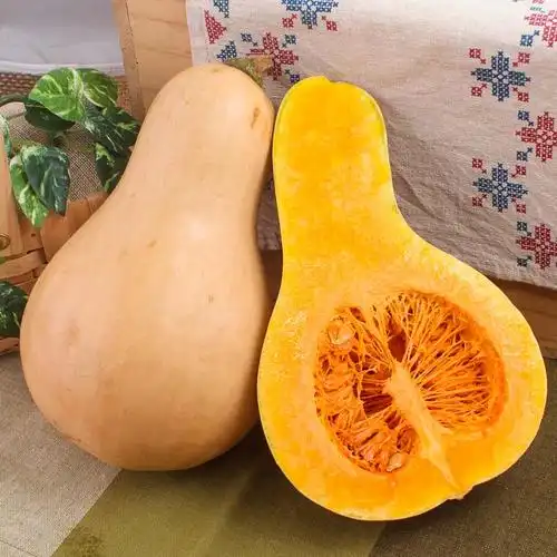 南瓜新鲜奶油胡桃一只butternutsquash迷你小南瓜食用南瓜