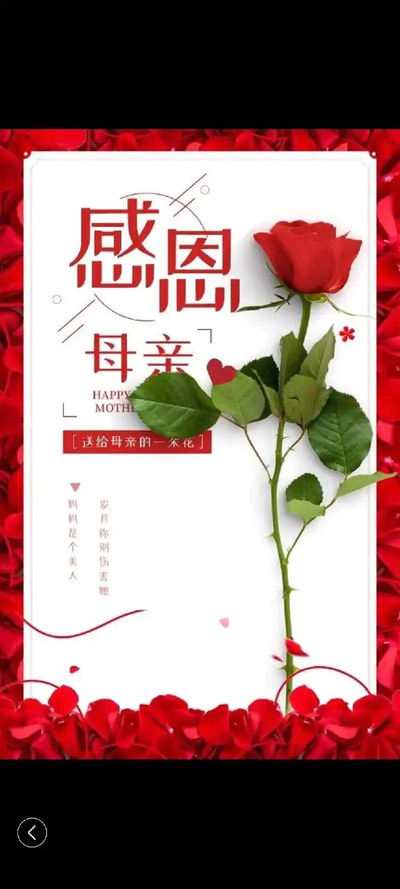 今天是自己的生辰日,也是老妈您的苦难日,在这个属于