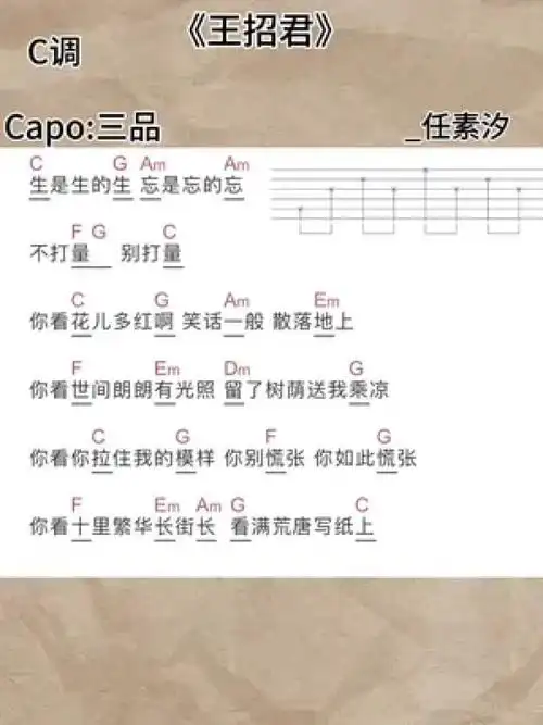 吉他弹唱 #吉他谱 #王招君任素汐