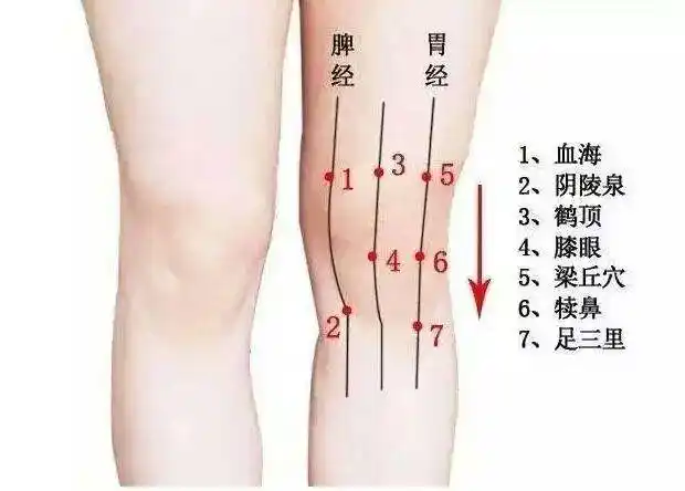 人老先老腿,上了年纪总是膝盖疼,应该怎么办!告诉你一个方法
