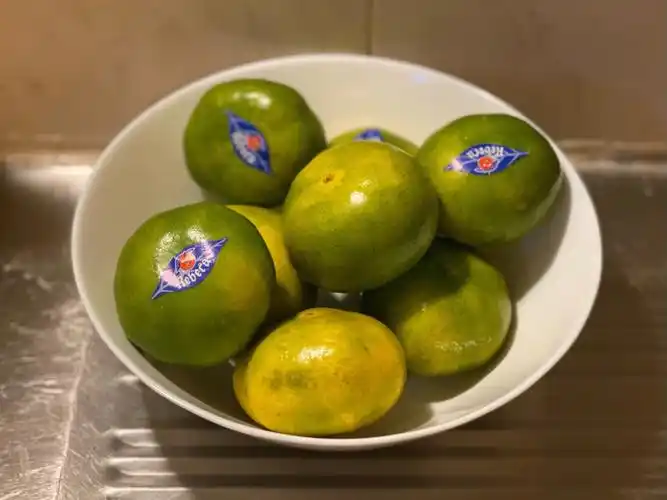 中秋节前后的绿皮橘子