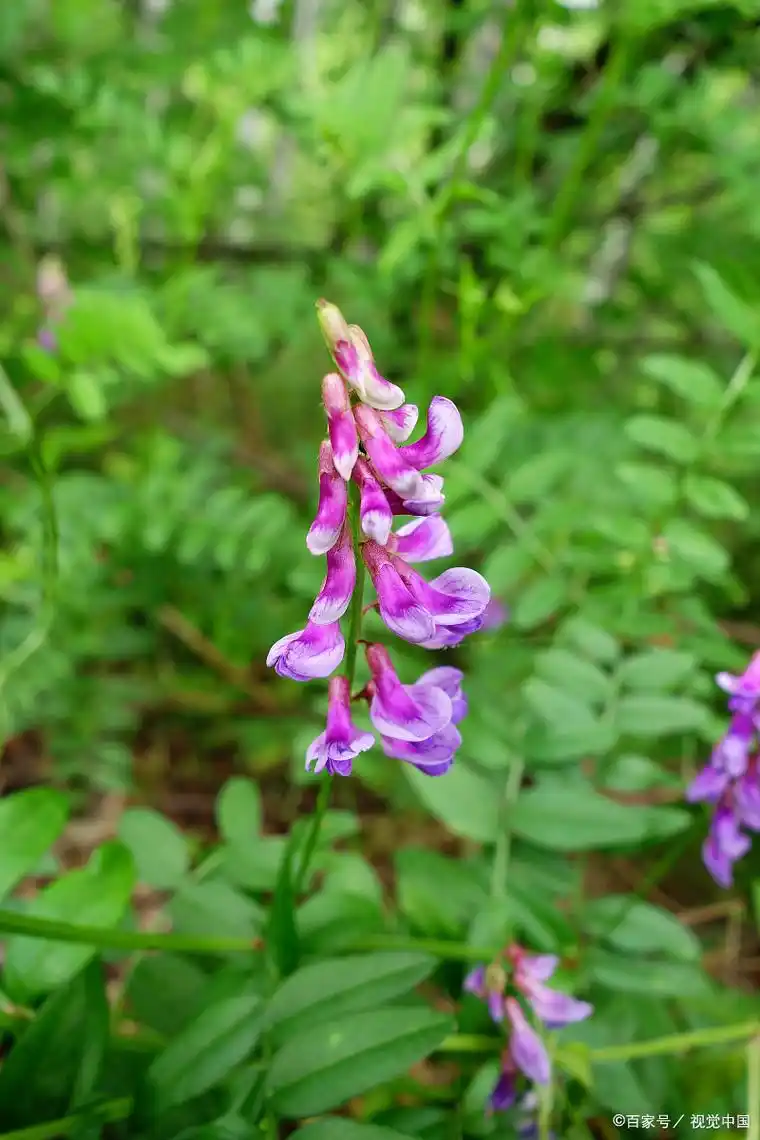 欲成大事,静察己过,勿论人非