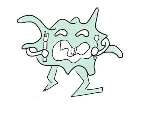 这也太可爱了吧,巨噬细胞竟然长这样—2