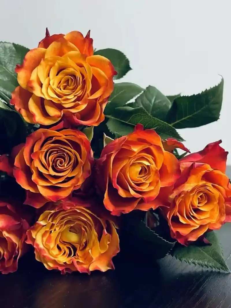 火焰玫瑰/单头玫瑰 	 花语:火焰玫瑰花语寓意着激情与憧憬,它表达着一