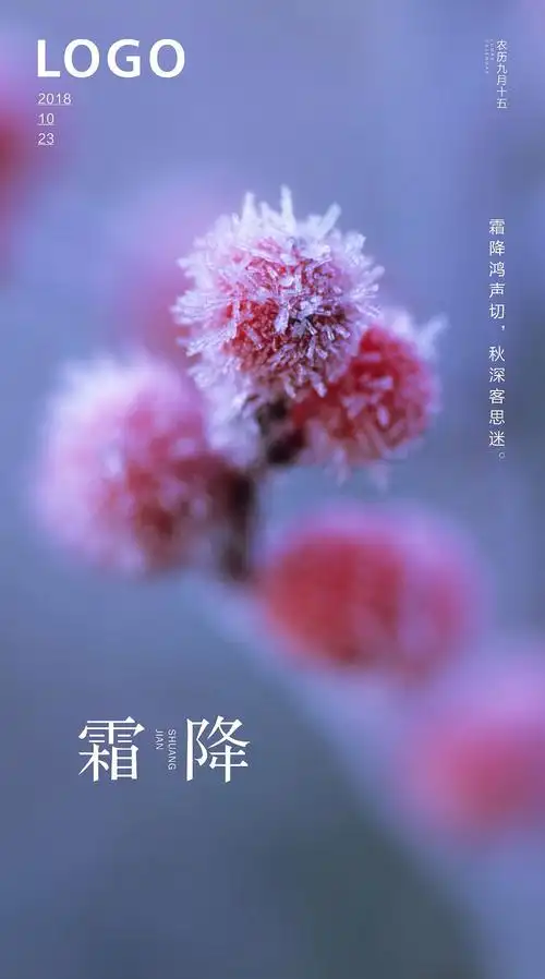 二十四节气霜降