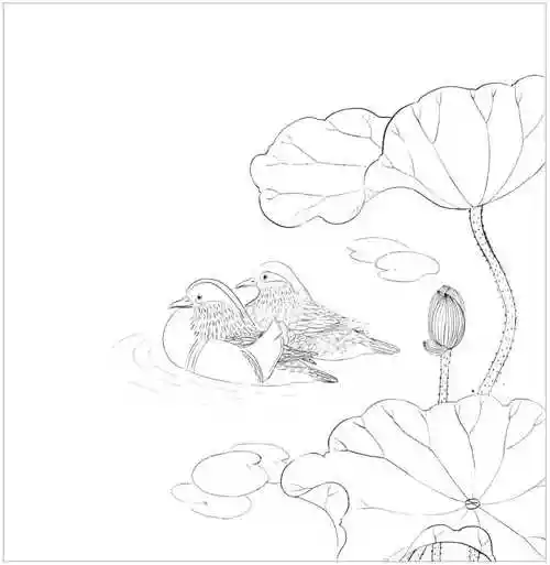 鸳鸯工笔画法教程:分步骤图解教你画鸳鸯,学会画鸳鸯很简单