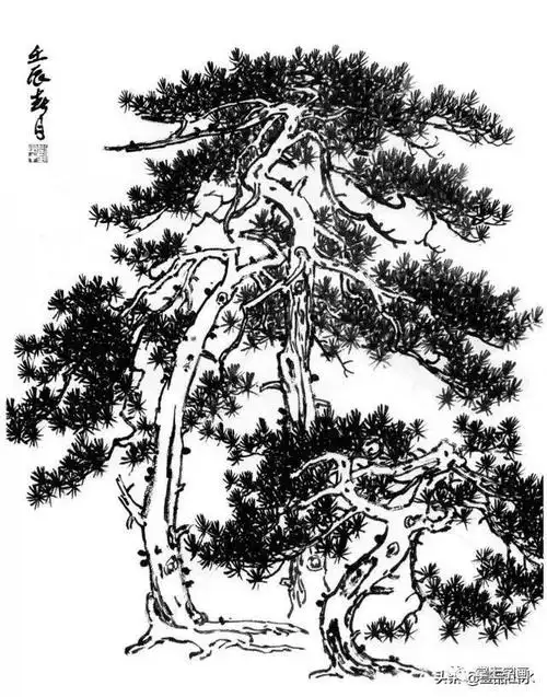 【国画山水】挺拔峭立——松树百图选页欣赏