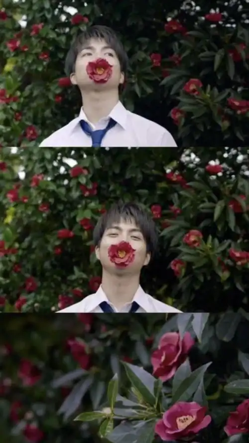 溺水小刀结局夏芽阿航在另一个平行世界的结局