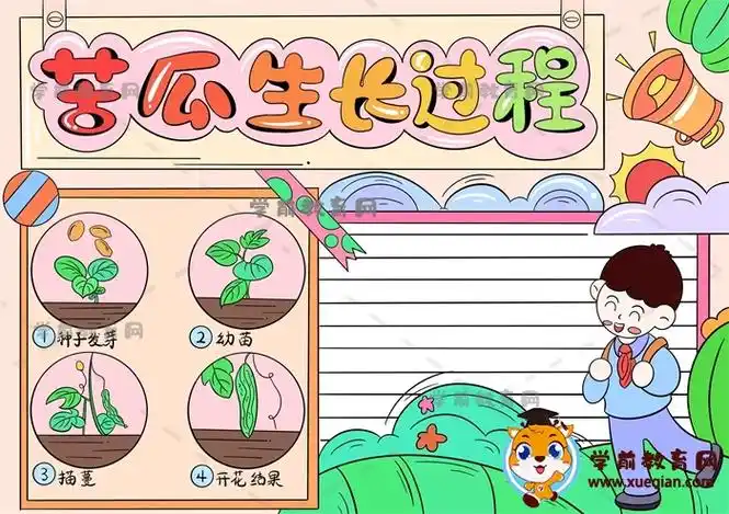 记录蔬菜成长过程的小报模板,苦瓜生长过程优秀模板画法步骤 - 学前