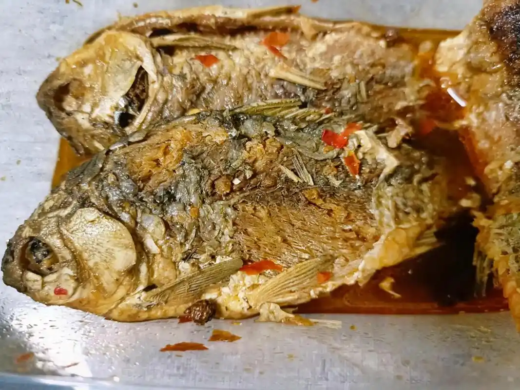 朋友送的糟鱼味道好极了 - 抖音