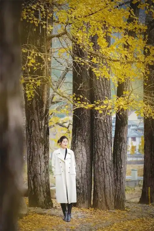 银杏树下拍秋日人像|人像|李治|模特_新浪新闻