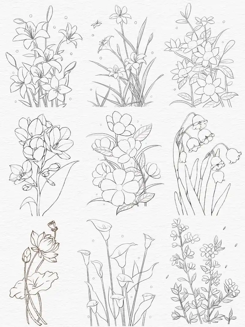 花卉插画线稿合集九宫格～花花都可以临摹哈7099#插画 #pr - 抖音
