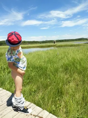 憋不住啦,快拿我的尿瓶啊