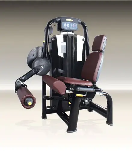 室内健身器材工厂家 商用健身房器材批发 大腿伸展腿部力量训练器