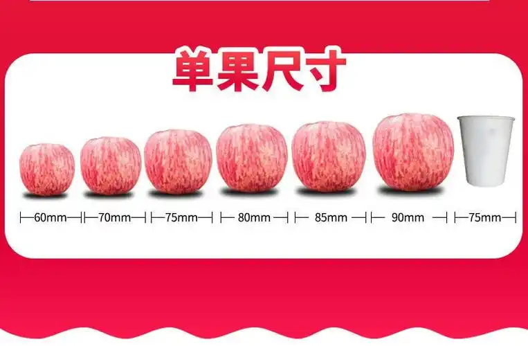 苹果的大小尺寸示意图.