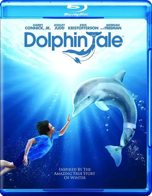 海豚的故事 海报