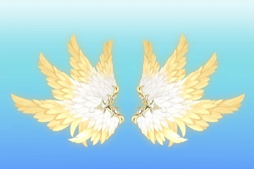 12星座专属天使之翼白羊座纯净天使羽翼天秤座芳菲之翼
