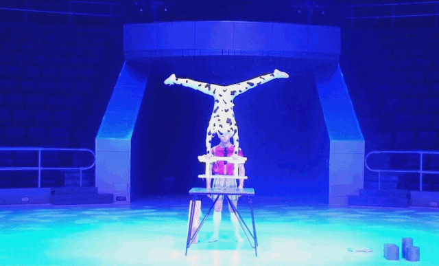 世界杂技看吴桥,连续8天技献内乡!建业喊你来免费领门票啦!