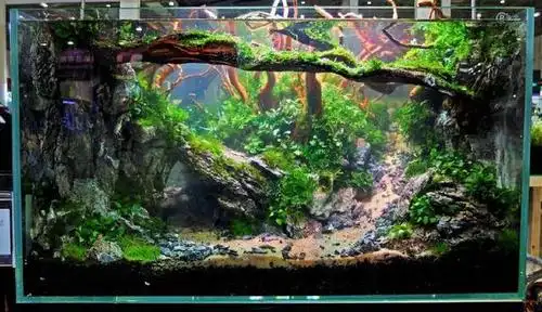 29位草缸造景大师作品欣赏,一次见到这么多精品鱼缸景观,难得哦
