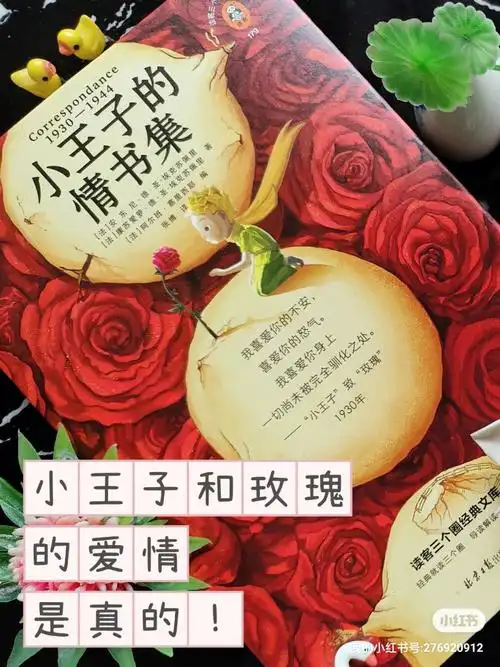 71玫瑰在小王子离开后如何独自生活?