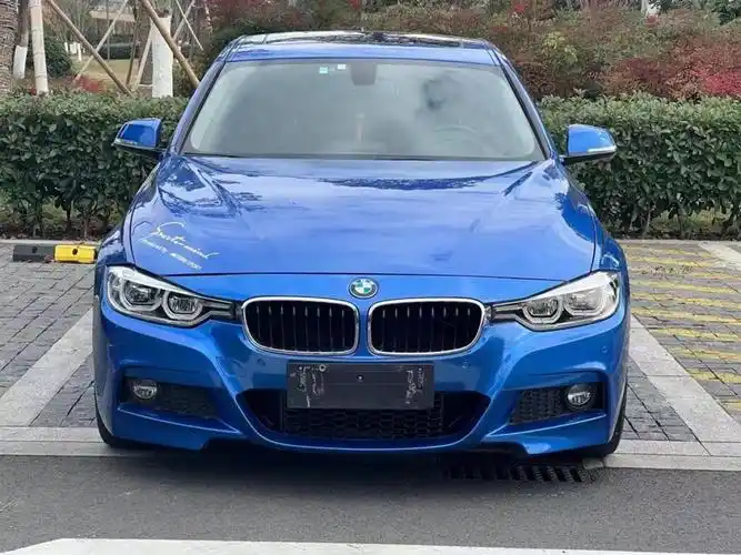 宝马 宝马3系  2017款 320li m运动型图片