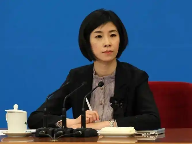 外交部四大美女翻译官高颜值高学历不愧是中国的门面担当