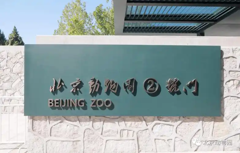 北京动物园"拍了拍"你来认认门_大门