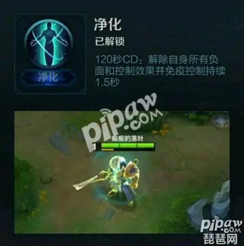 赵云召唤师技能净化