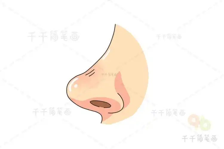 鼻子能嗅气味简笔画