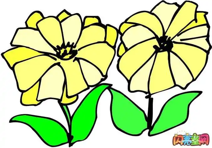 树花简笔画带颜色