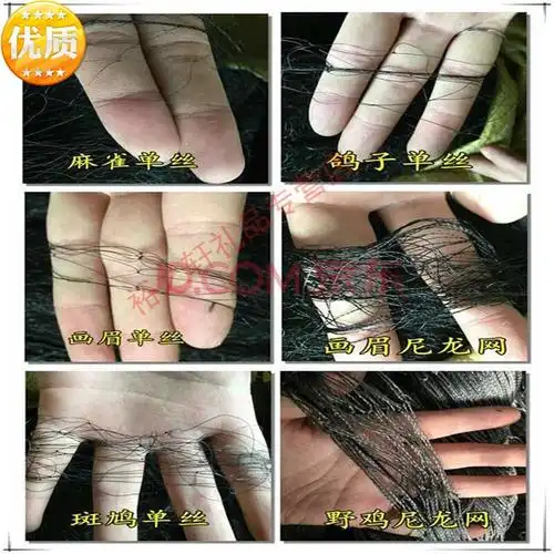 5米高(麻雀网)【图片 价格 品牌 报价】-京东