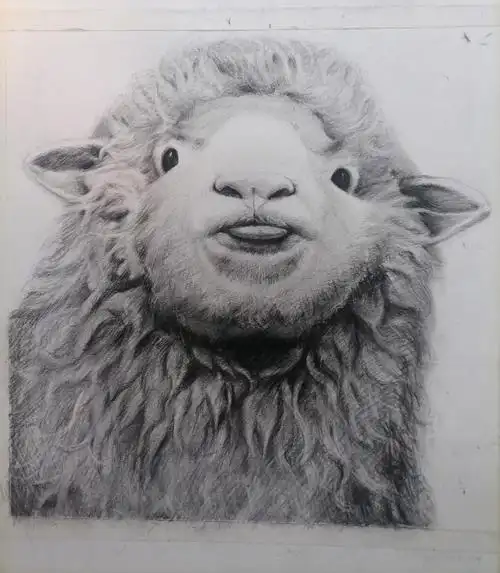 素描  小羊有什么错,它只想好好长大