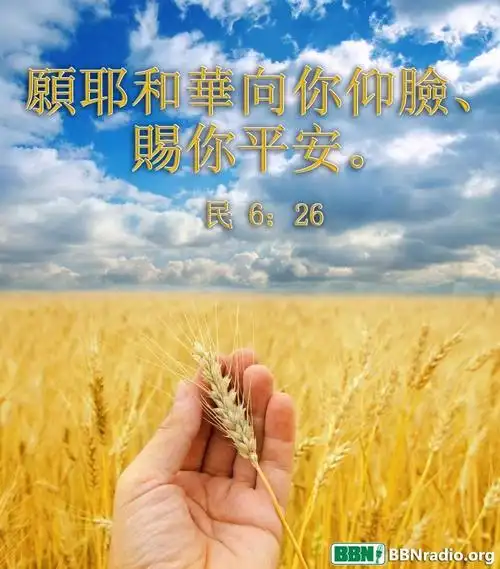 下雪了河里还能游泳吗