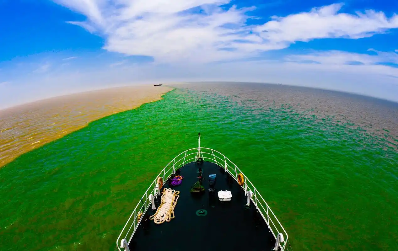 东营市黄河入海口黄河与渤海交汇的画面.