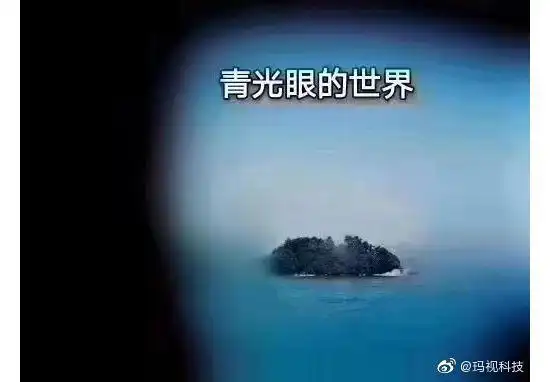 各种眼睛里的世界@我都笑傻了平时看不太出来只是它们太害羞了胖子