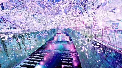 唯美樱花树花瓣飘落led舞台背景视频