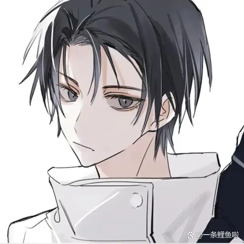 帅霸气的动漫男头/宝藏男头 二次元画风99 超极好看的头像7815