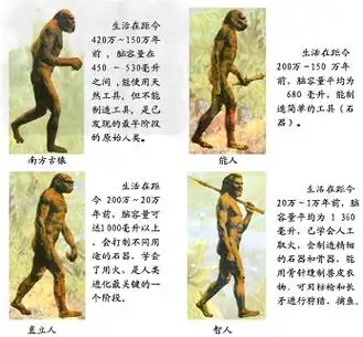 人类起源和进化经历了漫长的历史过程下图是人类进化的四个阶段请据图