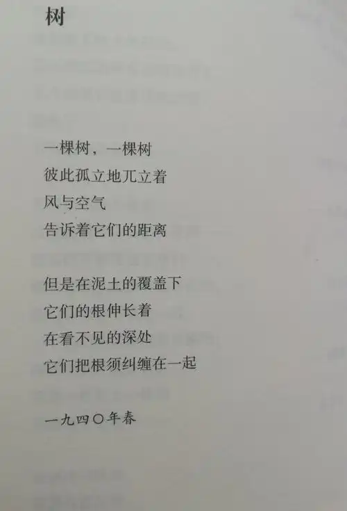 艾青的诗当然也不可少