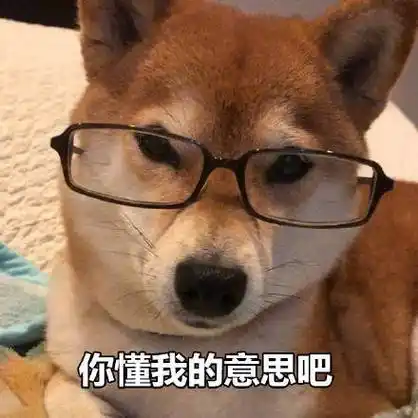 你懂我的意思吧 - 一组柴犬表情包_柴犬_狗子表情