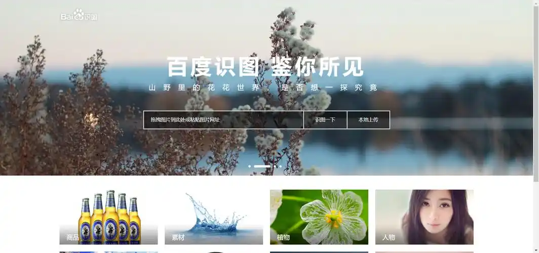 在线识别图片来源识图好用的识图网站推荐