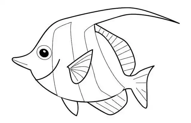 一组海洋动物简笔画图片大全