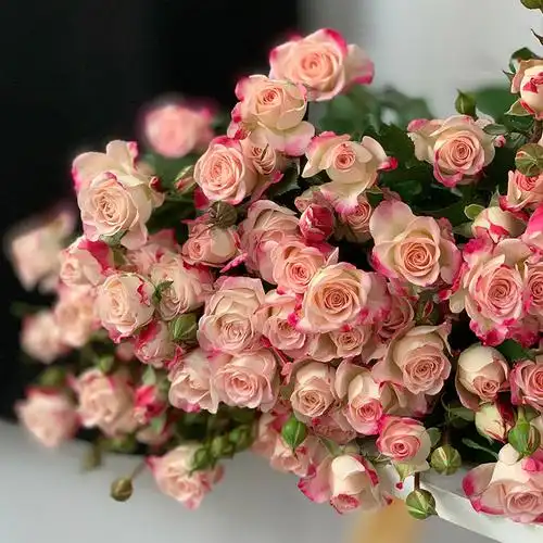 yoyo花花世界多头折射玫瑰泡泡女友生日婚礼花艺鲜花速递同城