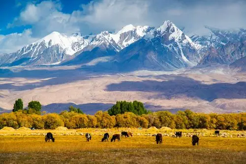 雪山美景 赵亚凝