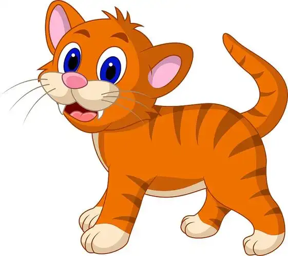 猫的卡通