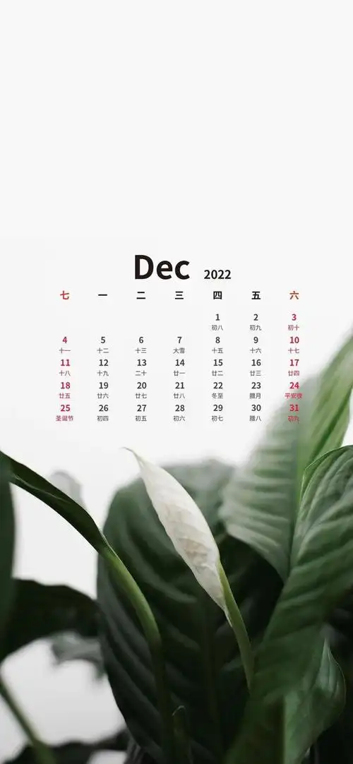 手机壁纸|十二月日历壁纸